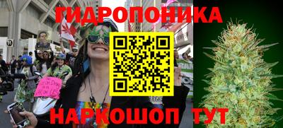 стаф Коммунар