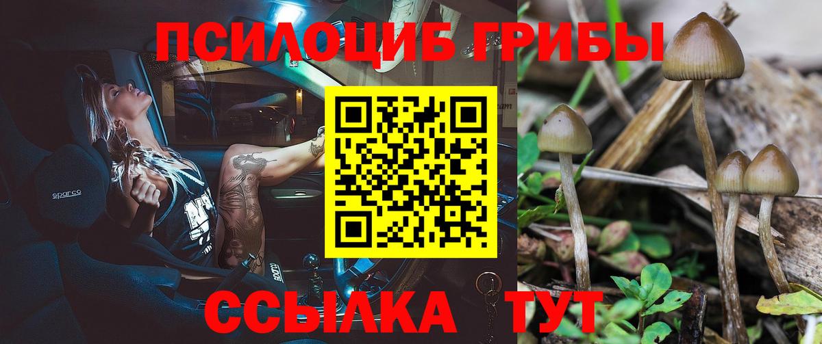 Псилоцибиновые грибы мухоморы  Псилоцибиновые грибы мухоморы  Вход с VPN  Коркино 