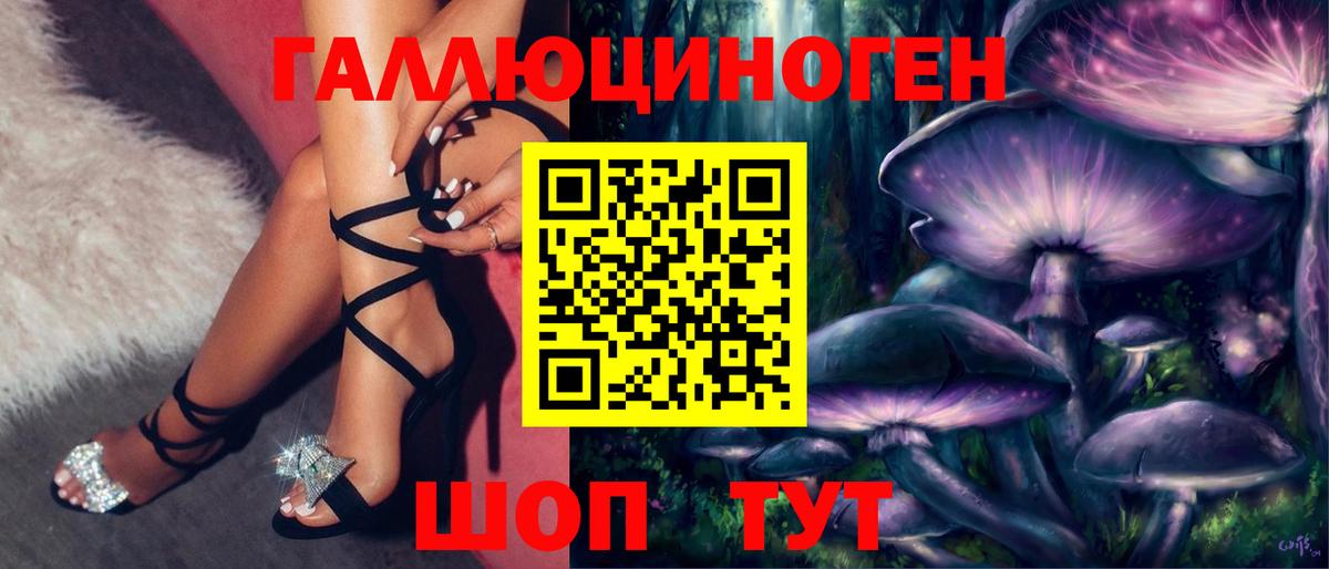 Псилоцибиновые грибы Psilocybe Коркино
